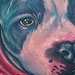 Pitbull Portrait Tattoo Tattoo Design Thumbnail